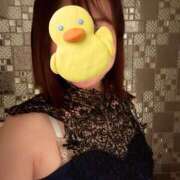 ヒメ日記 2026/04/10 16:01 投稿 安田ほのか MADAM