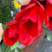 安田ほのか 0412  K.M様 MADAM