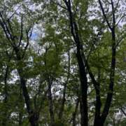 ヒメ日記 2026/04/15 07:31 投稿 安田ほのか MADAM