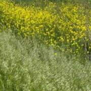 ヒメ日記 2026/04/16 20:16 投稿 安田ほのか MADAM