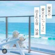 ヒメ日記 2026/06/09 08:16 投稿 安田ほのか MADAM
