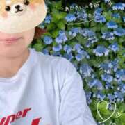 ヒメ日記 2026/06/10 08:46 投稿 安田ほのか MADAM