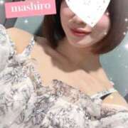 ヒメ日記 2026/02/14 16:46 投稿 日向ましろ 華椿