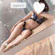 ヒメ日記 2026/02/25 08:01 投稿 日向ましろ 華椿