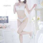 ヒメ日記 2026/03/01 11:31 投稿 日向ましろ 華椿