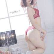 ヒメ日記 2026/03/21 11:16 投稿 日向ましろ 華椿