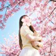 ヒメ日記 2026/04/10 07:16 投稿 かのん CUTE