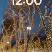 ヒメ日記 2025/12/27 11:16 投稿 指原さとみ 華椿