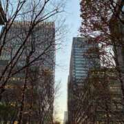 ヒメ日記 2025/12/18 07:31 投稿 如月さくら 華椿