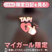 ヒメ日記 2025/12/29 09:16 投稿 如月さくら 華椿