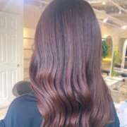 ヒメ日記 2026/02/12 07:46 投稿 如月さくら 華椿