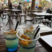 ヒメ日記 2026/02/17 20:46 投稿 如月さくら 華椿