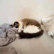 ヒメ日記 2025/12/21 05:01 投稿 吉崎まりえ MADAM