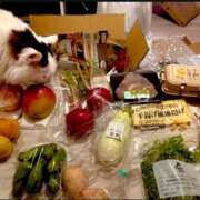 ヒメ日記 2025/12/24 05:16 投稿 吉崎まりえ MADAM