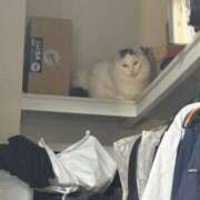 ヒメ日記 2025/12/29 05:16 投稿 吉崎まりえ MADAM