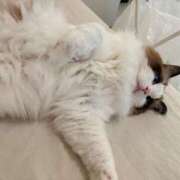 ヒメ日記 2026/01/04 05:01 投稿 吉崎まりえ MADAM