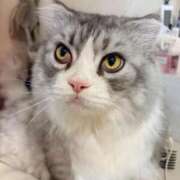 ヒメ日記 2026/01/09 05:01 投稿 吉崎まりえ MADAM