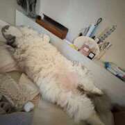 ヒメ日記 2026/01/15 05:16 投稿 吉崎まりえ MADAM