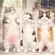 ヒメ日記 2026/01/28 05:01 投稿 吉崎まりえ MADAM