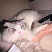 ヒメ日記 2026/02/11 05:16 投稿 吉崎まりえ MADAM