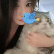 吉崎まりえ 復活? MADAM