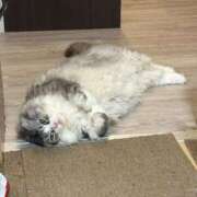 ヒメ日記 2026/03/01 05:01 投稿 吉崎まりえ MADAM