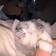 ヒメ日記 2026/03/07 05:01 投稿 吉崎まりえ MADAM