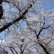 ヒメ日記 2026/04/04 05:01 投稿 吉崎まりえ MADAM