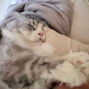 ヒメ日記 2026/04/05 05:01 投稿 吉崎まりえ MADAM