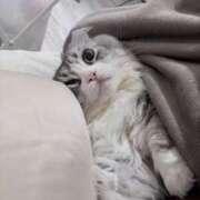 ヒメ日記 2026/04/15 05:16 投稿 吉崎まりえ MADAM