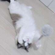 ヒメ日記 2026/10/04 04:31 投稿 吉崎まりえ MADAM