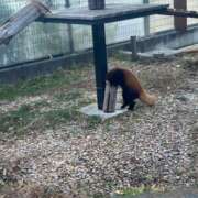 ヒメ日記 2025/12/21 22:16 投稿 みさ CUTE