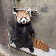 ヒメ日記 2025/12/28 14:16 投稿 みさ CUTE