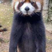 ヒメ日記 2026/01/04 21:01 投稿 みさ CUTE