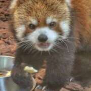 ヒメ日記 2026/01/09 15:31 投稿 みさ CUTE