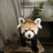 ヒメ日記 2026/01/23 18:01 投稿 みさ CUTE