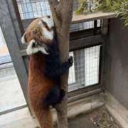 ヒメ日記 2026/01/27 17:46 投稿 みさ CUTE