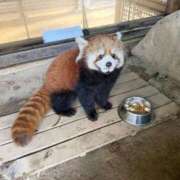 ヒメ日記 2026/01/29 21:46 投稿 みさ CUTE