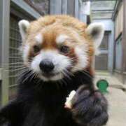 ヒメ日記 2026/01/31 14:46 投稿 みさ CUTE