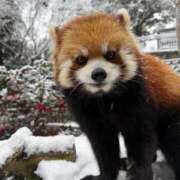 ヒメ日記 2026/02/10 14:46 投稿 みさ CUTE