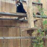 ヒメ日記 2026/02/21 15:01 投稿 みさ CUTE