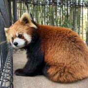 ヒメ日記 2026/02/23 21:16 投稿 みさ CUTE