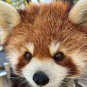 ヒメ日記 2026/03/01 12:31 投稿 みさ CUTE