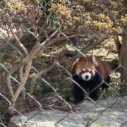 ヒメ日記 2026/03/05 15:01 投稿 みさ CUTE