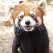 ヒメ日記 2026/03/18 23:16 投稿 みさ CUTE