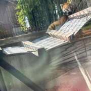 ヒメ日記 2026/03/28 14:31 投稿 みさ CUTE