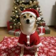 ヒメ日記 2025/12/25 08:46 投稿 木下あけみ MADAM