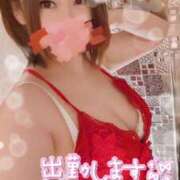 ヒメ日記 2026/02/14 08:01 投稿 木下あけみ MADAM