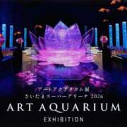 ヒメ日記 2026/02/19 23:17 投稿 木下あけみ MADAM