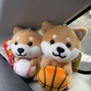 ヒメ日記 2026/03/03 14:31 投稿 木下あけみ MADAM